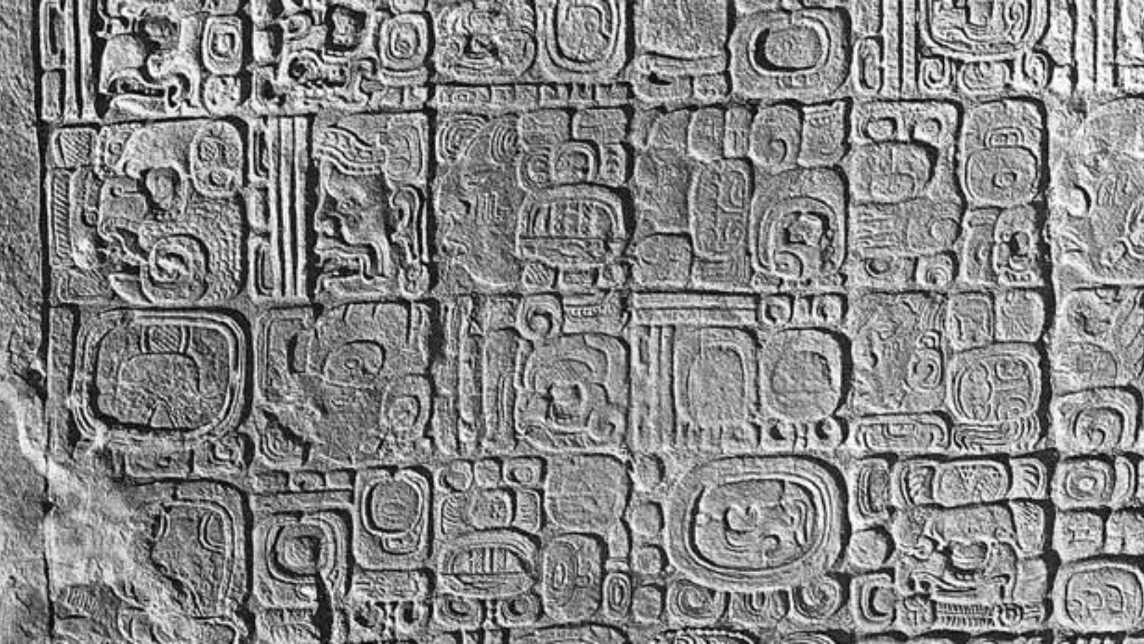 Deciphering the Ancient Maya Script on Stelae